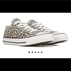 Chuck Taylor All Star Low Top cheetah M 12 W 14